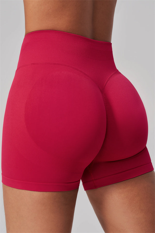 The Align Sports Bra Shorts 2-Piece Set