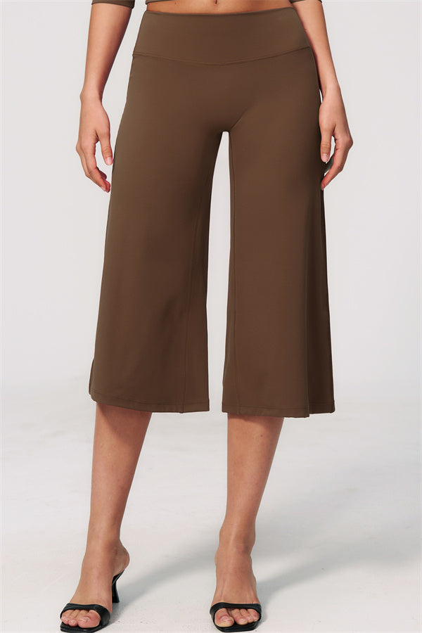 The Natalia Half-Sleeve Top Wide-Leg Crop 2-Piece Set